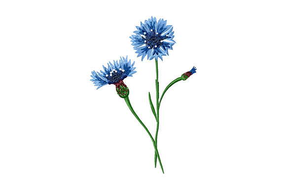 Bouquet of Cornflowers: A Practical Design Review