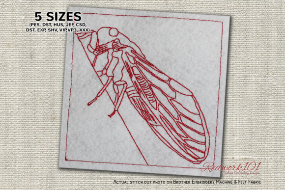 Cicada Lineart: A Designer’s Review for Boutique Sweatshirts