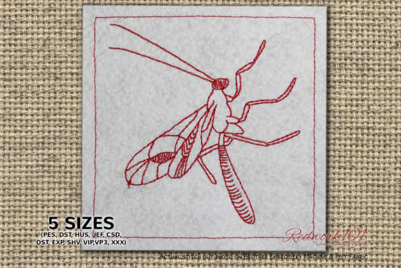 Ichneumonidae Embroidery: A Unique Market Booth Star