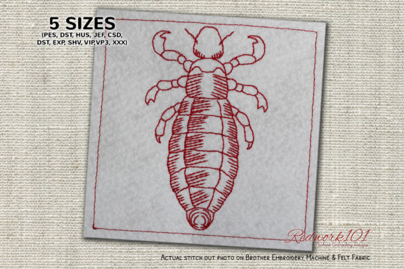 Louse Redwork: A Unique Bug Embroidery for Personal Gifts