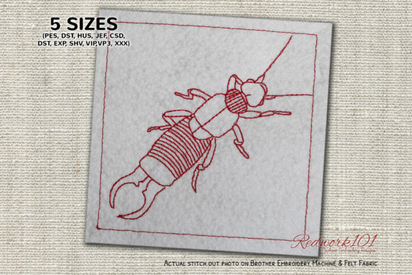 Wild Earwig Lineart: A Unique Holiday Embroidery Design
